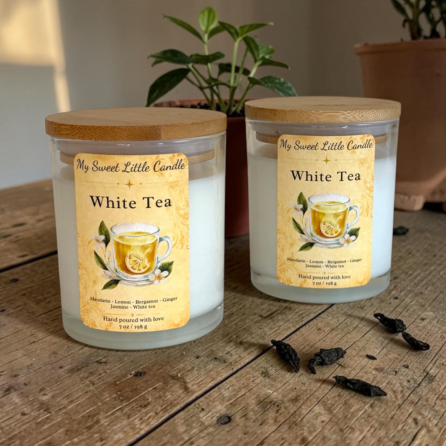 White Tea Soy Candle : Lemon Tea Notes, 7 oz